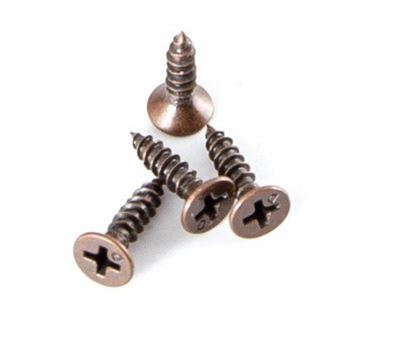Screw